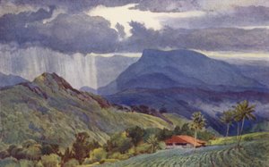 Um chuveiro tropical de Alexander Henry Hallam Murray