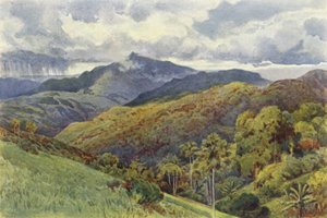As montanhas de Pallekelly de Alexander Henry Hallam Murray