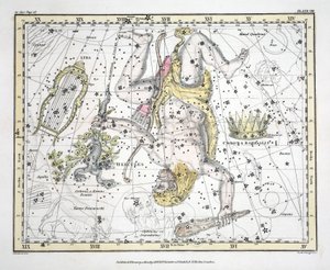 As constelações (placa VIII) Coronoa Borealis, Hercules e Cerberus, Lyra, de "um atlas celestial" por Alexander Jamieson, bar. Londres 1822 (gravura colorida à mão)