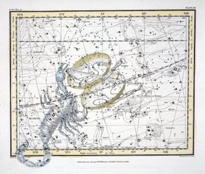 As Constelações (Placa XIX) Libra e Escorpião, de &39;A Celestial Atlas&39; de Alexander Jamieson, pub. Londres 1822 (gravura colorida à mão)