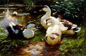 Patos na margem de um rio