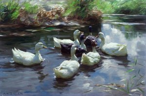 A.Koester, Patos na lagoa