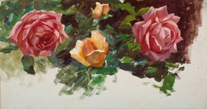 A.Koester, Rose Estudo