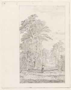 Dennenlaan de Alexander Mollinger