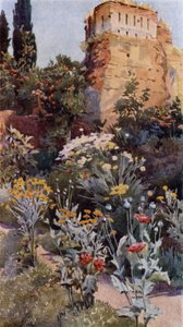 Nos Jardins da Alhambra (cor litho)