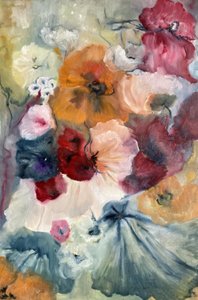 Papoilas coloridas desabrocham de Alexandra Higgins