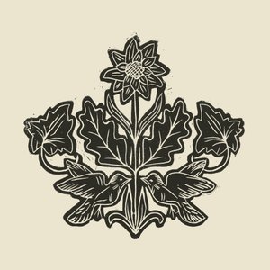 Pássaros florais elegantes de Alexandra Weise