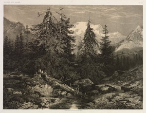 Córrego Alpino de Alexandre Calame