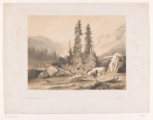Paisagem de montanha com abeto e cabrito de montanha
Sapins (título sobre o objecto) de Alexandre Calame