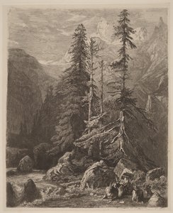 Ensaios de gravura em água-forte de Alexandre Calame, I, pl. 21