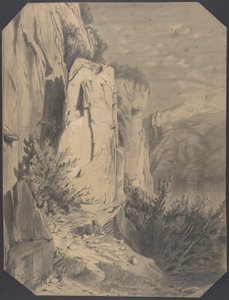 Florestas e montanhas de Alexandre Calame