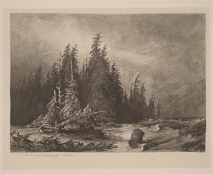Pinheiros de montanha de Alexandre Calame