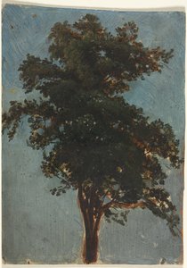 Estudo sobre árvores de Alexandre Calame