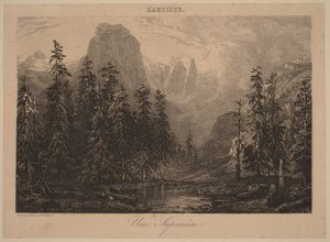 Uma floresta de abetos de Alexandre Calame