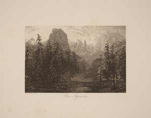 Uma floresta de abetos de Alexandre Calame