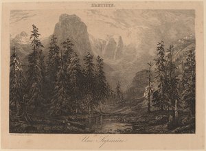 Une Sapinière de Alexandre Calame