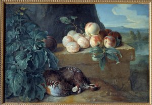 Pêssegos e perdizes. Pintura de François Desportes (1661-1743) de Alexandre Francois Desportes