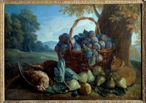 Ameixas, figos e bicos Pintura de François Desportes de Alexandre Francois Desportes