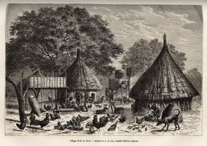Diour da aldeia no inverno (Sudão) e atividades diárias dos habitantes no meio dos animais criados pela comunidade, gravados após o desenho de A. de Bar, ilustrando a viagem ao coração da África em 1868-1871, pelo Dr. Georges Schweinfurt