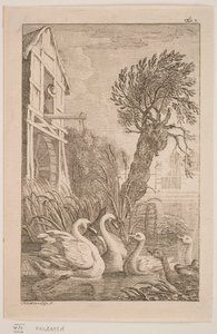 O Ganso e o Cisne de Alexia von Lode