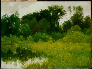 Depois da chuva, em Minnehaha Creek