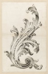 Design de folha de acanto