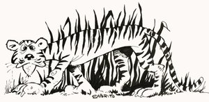 Descobrir factos: Porque é que os tigres têm riscas de Alf Saporito