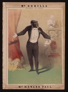"Eu sou a Gorila de Monsieur Chaillu" (cor litho) de Alfred (after) Concanen