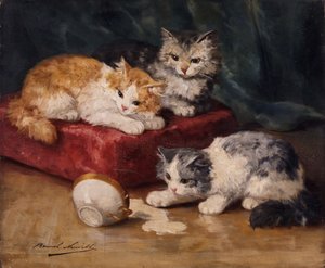 Gatos