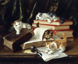 Gatinhos brincando na mesa