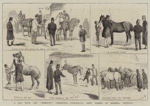 Um dia com o Comitê de Remontagem, comprando cavalos do Exército em Redhill, Edgware de Alfred Chantrey Corbould