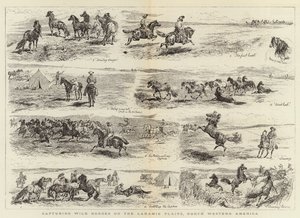 Capturando Cavalos Selvagens nas Planícies de Laramie, North Western America