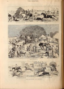 Caça ao porco em Bengala de Alfred Chantrey Corbould
