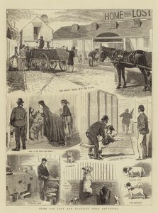 Casa para cães perdidos e famintos, Battersea de Alfred Chantrey Corbould