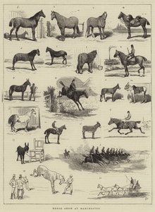 Horse Show em Manchester de Alfred Chantrey Corbould