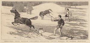 Esboços da Colúmbia Britânica, quebrando os Young Horses para Sledge Harness de Alfred Chantrey Corbould
