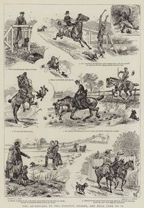 As aventuras de dois cavalos fugitivos e o que veio dele