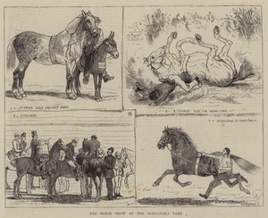 O Show do Cavalo no Alexandra Park de Alfred Chantrey Corbould