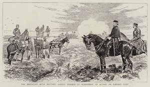 The Mountain Mule Battery, recentemente formado em Aldershot, em Action on Caesar&39;s Camp de Alfred Chantrey Corbould