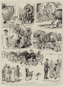 Show da Shire Horse Society no Salão Agrícola, Islington de Alfred Chantrey Corbould
