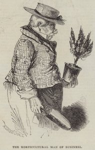 O homem de negócios hortícola de Alfred Crowquill