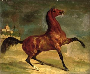 Um cavalo em uma paisagem