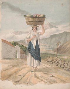 Fêmea do Porto de Orotava