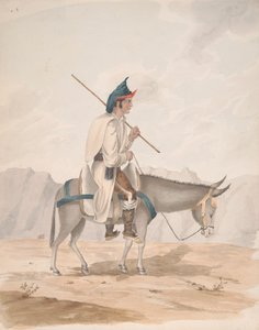 O Grande Homem-Canário num Burro