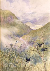 Olhando para os lírios: O vale de Nikko olhando para o leste Para a província de Shimo-no-Tsuke, c.1889 (wc no papel) de Alfred East