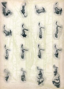 A evolução de uma lagarta, c1910, 1911 de Alfred Harold Bastin