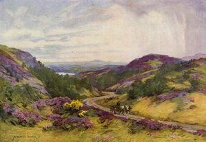Dinamarca: Raebild Hills, perto de Aalborg (lito a cores) de Alfred Heaton Cooper