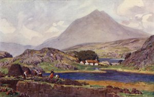 Seladores de gramados, Connemara de Alfred Heaton Cooper