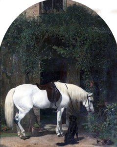 Cavalo branco e retriever de Alfred Hichens Corbould