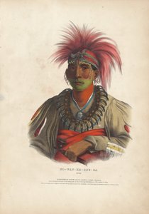Nenhuma soma y-case g-é Otoe de Alfred Hoffy, after Charles Bird King